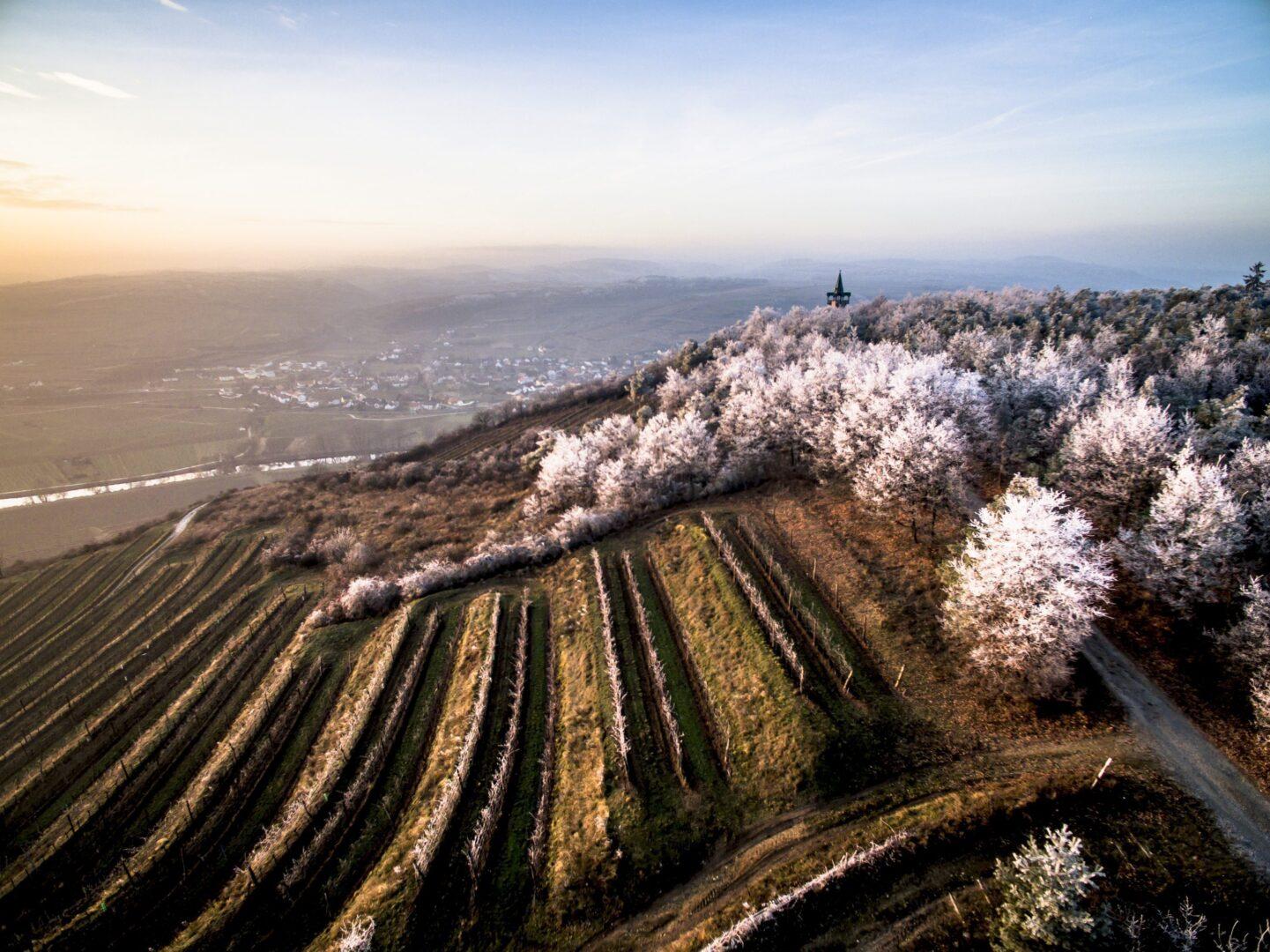 16622_Morgenfrost-am-Heiligenstein-scaled