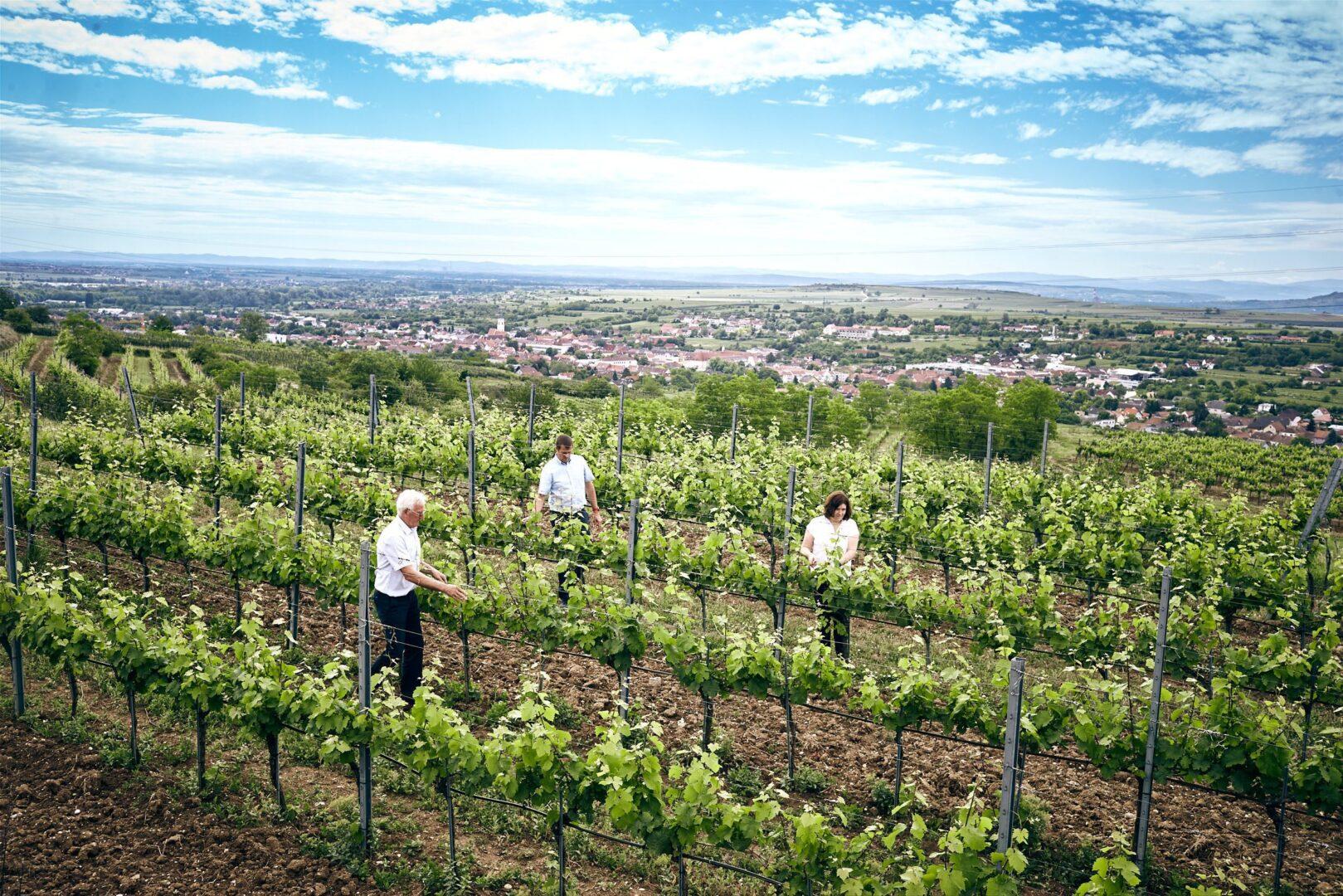 16623_Karl-Eva-und-Peter-Steinhaus-2-1