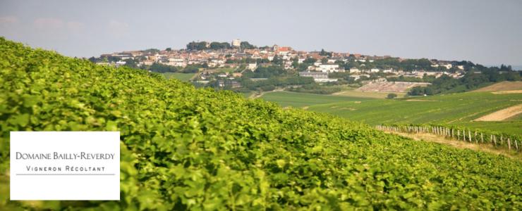 15904_Bailly-Reverdy-Hersteller-Banner