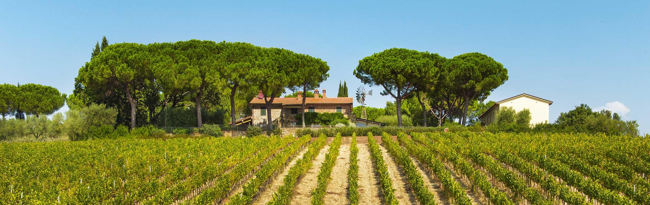 9452_Agriturismo_nel_cuore_della_Toscana