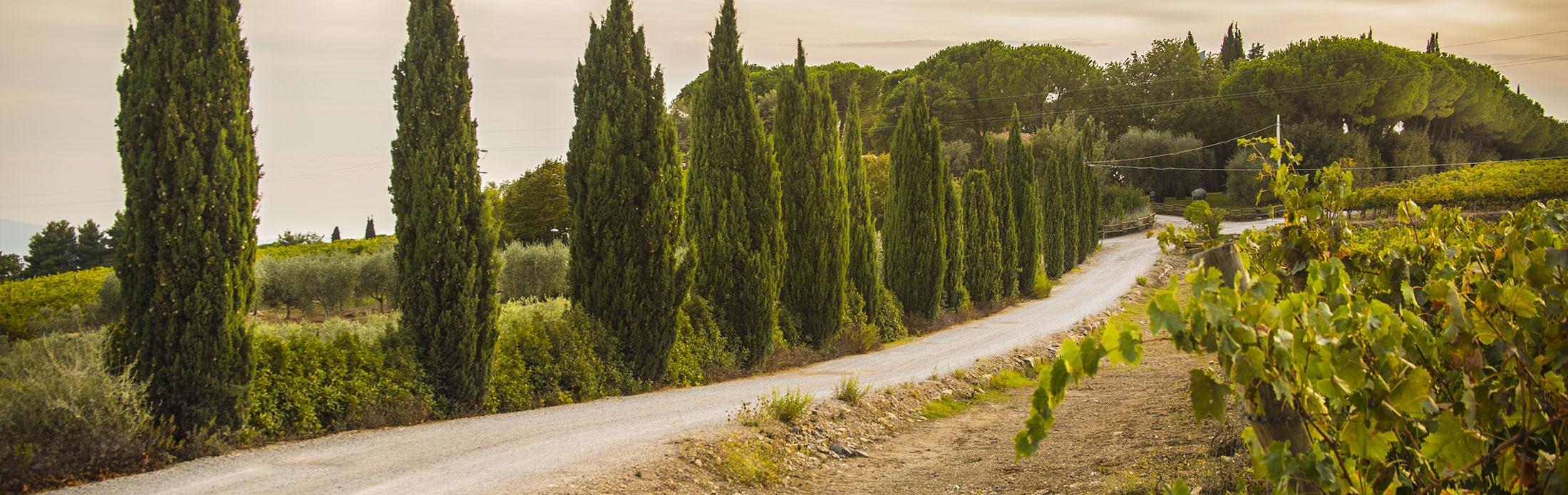 9453_Panorami_della_Toscana