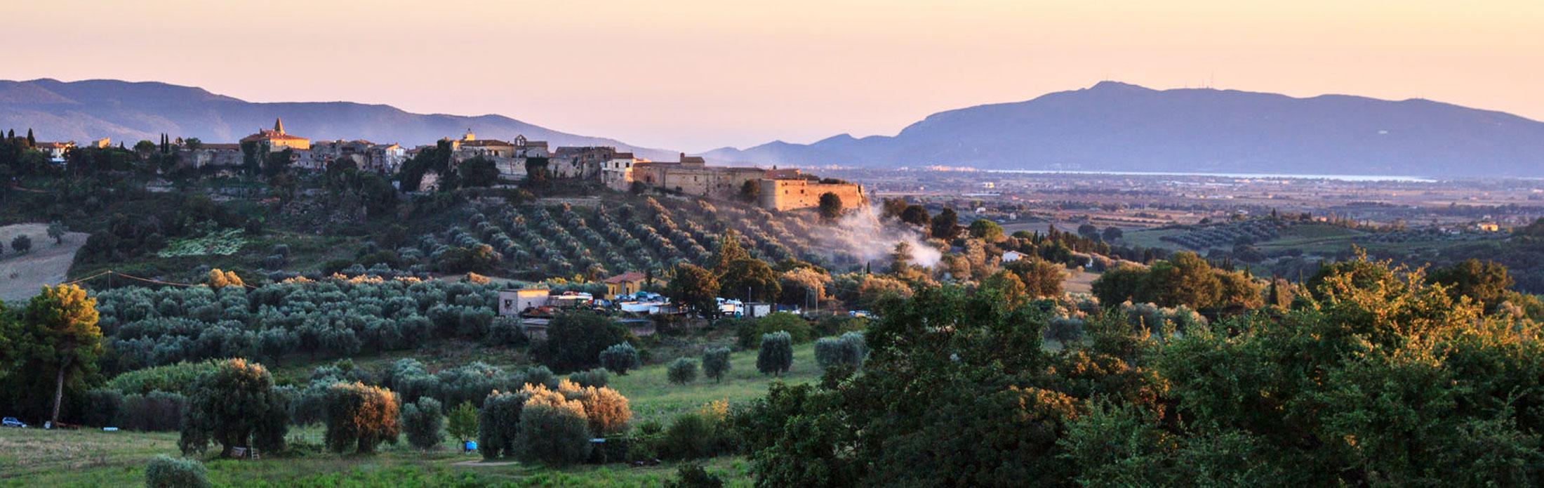 9454_magliano_toscana