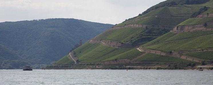 10918_muster-logo-slider-744x300-0001-IMG-4803-2