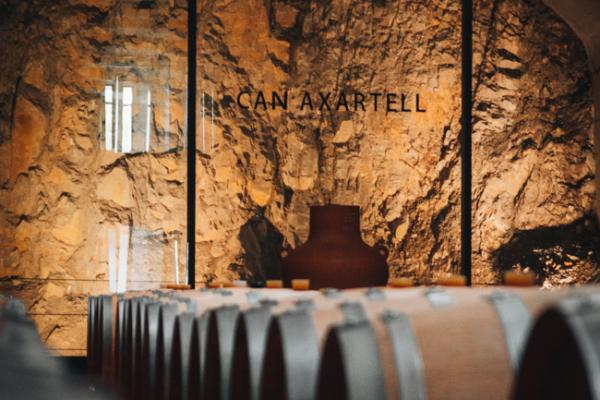 15705_clipboard-2024-03-06-07-01-29.image