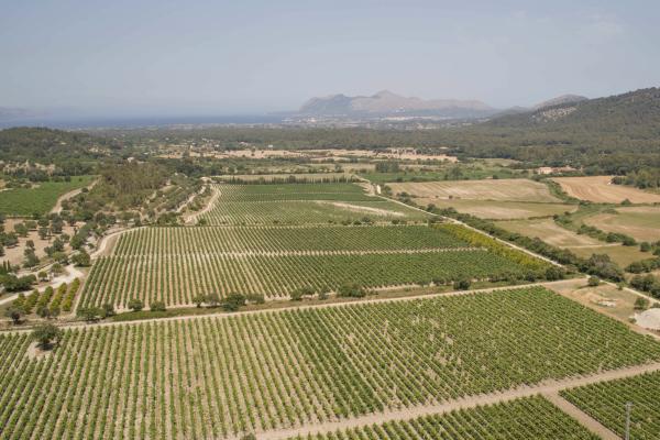 15706_clipboard-2024-03-06-07-01-32.image