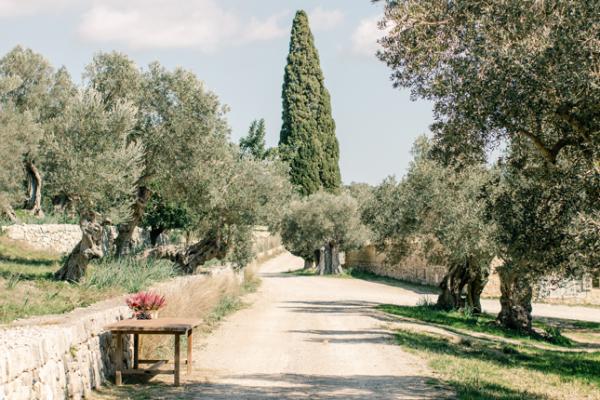 15708_clipboard-2024-03-06-07-01-47.image