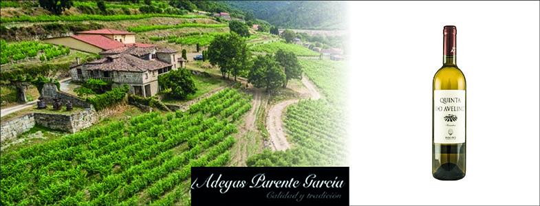 8805_banner_adegas_parente_garcia