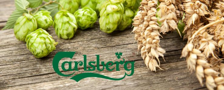 16774_Carlsberg-Hersteller-Banner