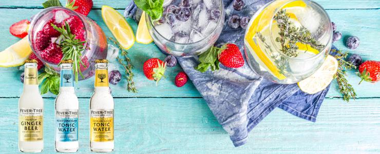 16995_FeverTree-Hersteller-Banner