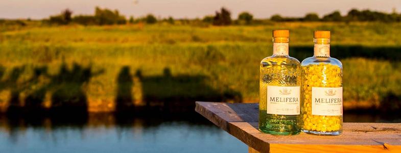 13660_banner-melifera1