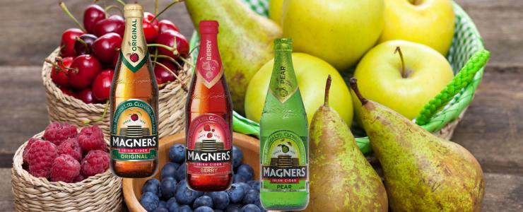 17625_Magners-Hersteller-Banner