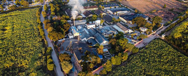 18193_Barbancourt-Hersteller-Banner