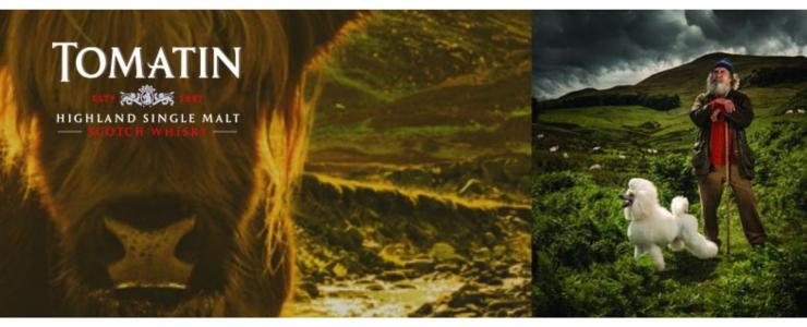 17969_Tomatin-Hersteller-Banner