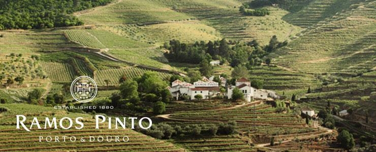 10195_Ramos-Pinto-Banner