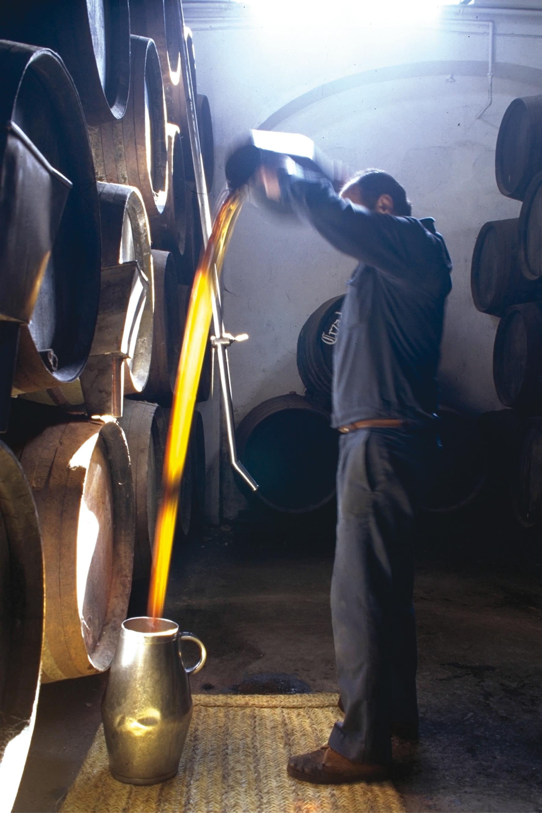 14428_Cardenal-Mendoza-Verschnitt