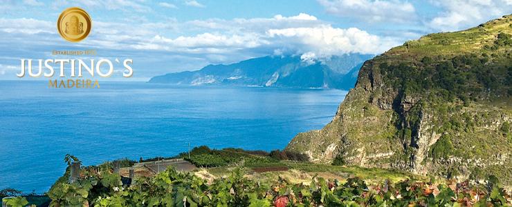 10449_JustinosBanner