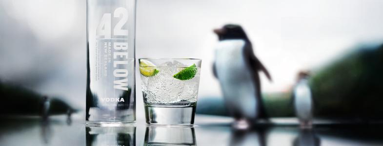 14129_banner-42below