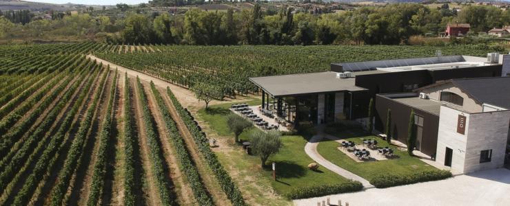 16985_Ottaviani-Hersteller-Banner