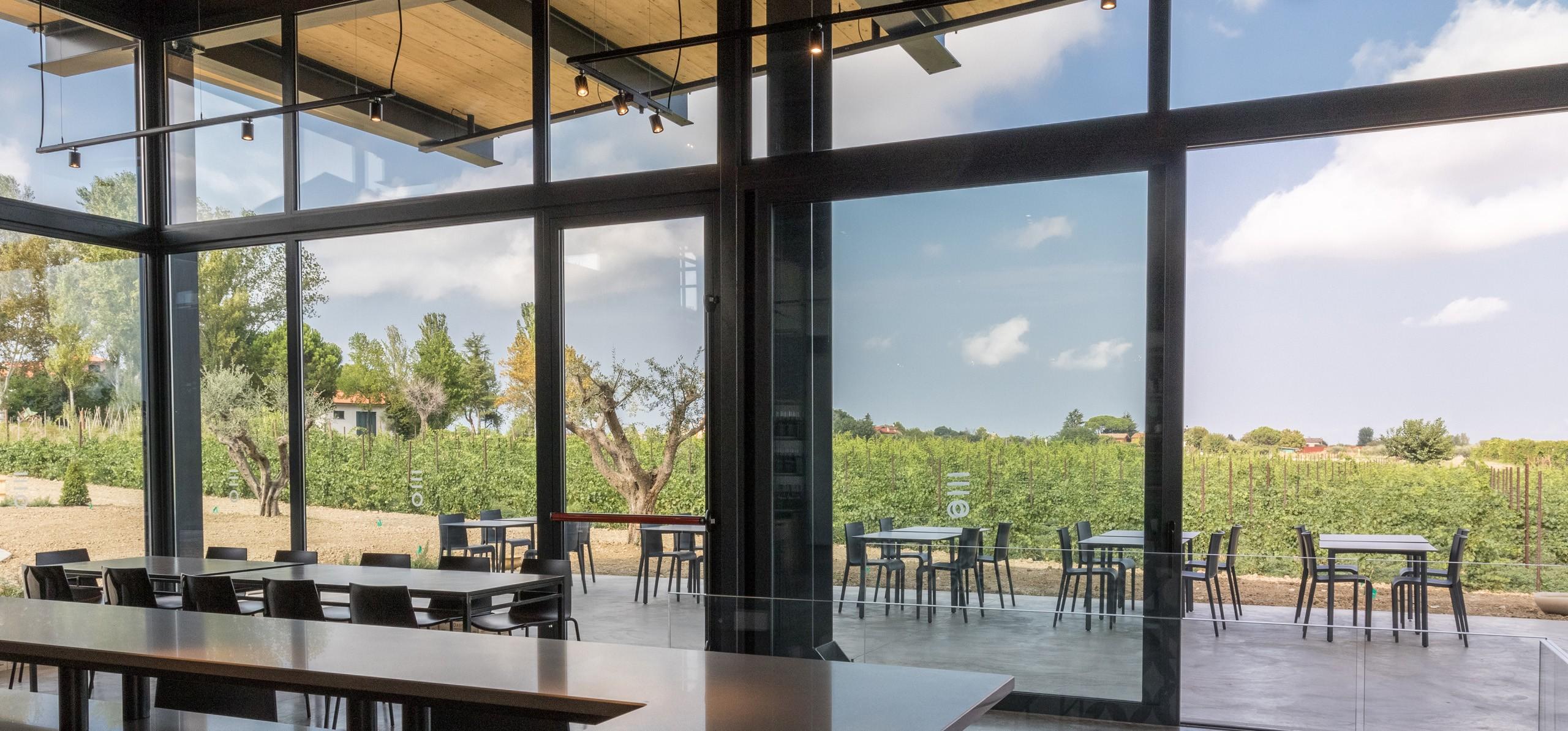 9304_enioottaviani_vini_cantina_05