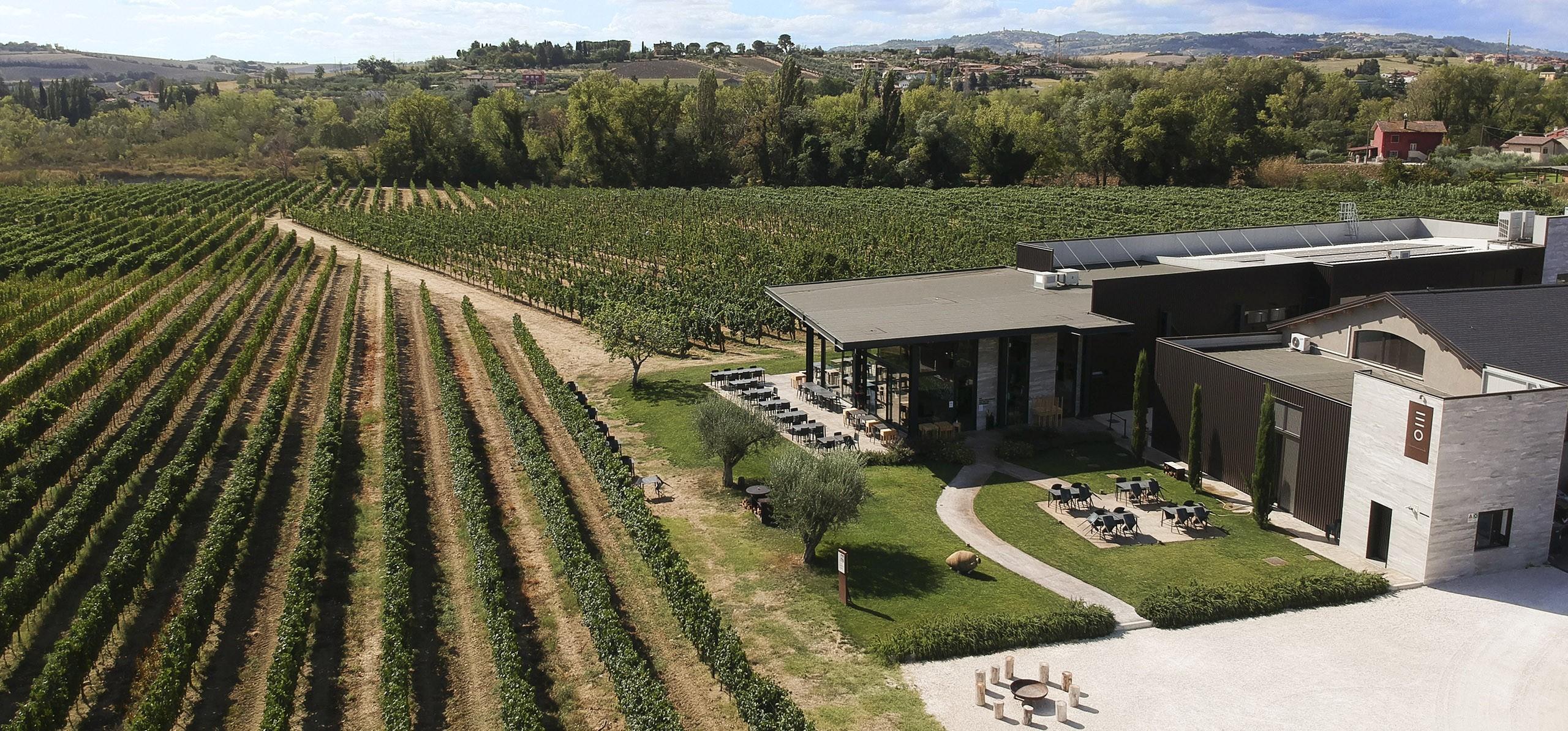 9309_enioottaviani_vini_cantina_10