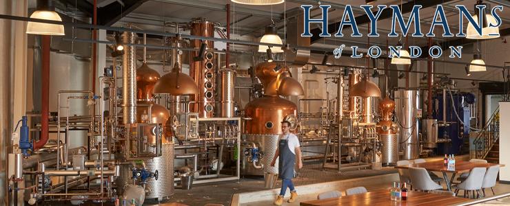 10365_Haymans-Banner