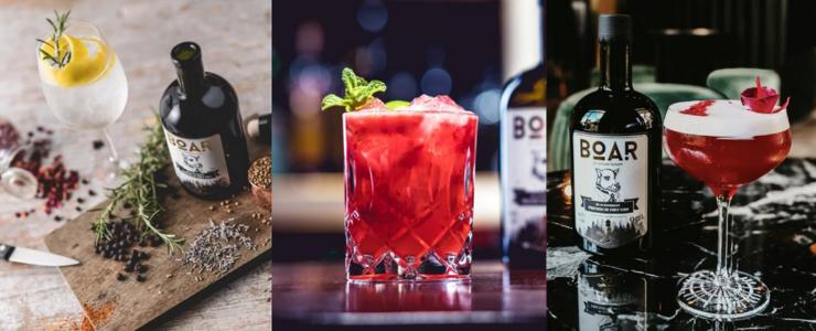 16819_Boar-Hersteller-Banner