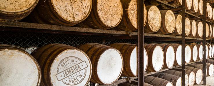 17049_Hampden-Hersteller-Banner