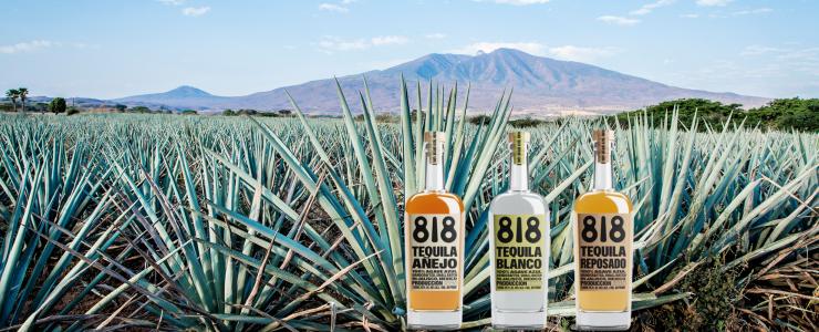 16939_818-Tequila-Hersteller-Banner