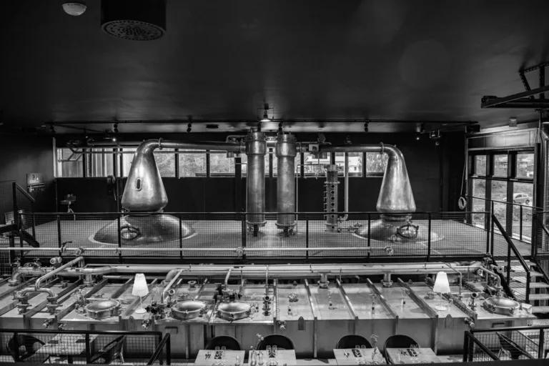 16441_2019-08-17-ks-kyrofest-0338-768x512