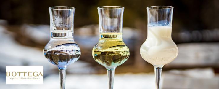 16966_Bottega-Hersteller-Banner