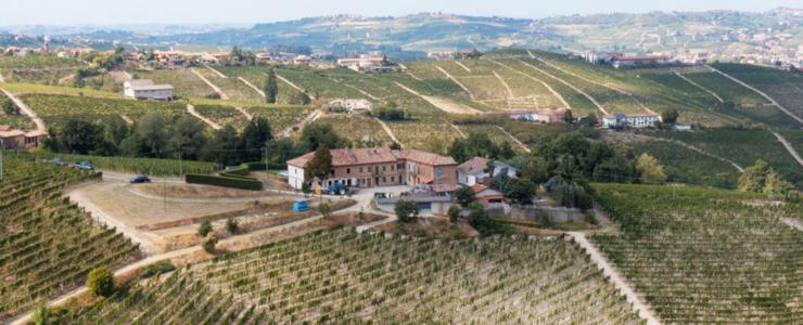 16683_Arione-Hersteller-Banner