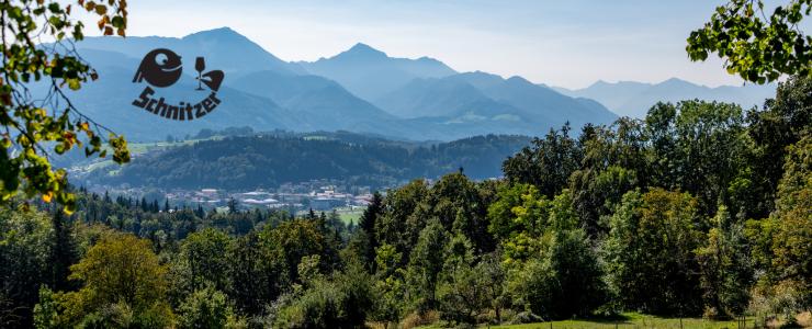 16821_Schnitzer-Hersteller-Banner