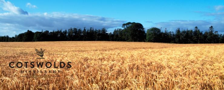 16893_Cotswolds-Hersteller-Banner