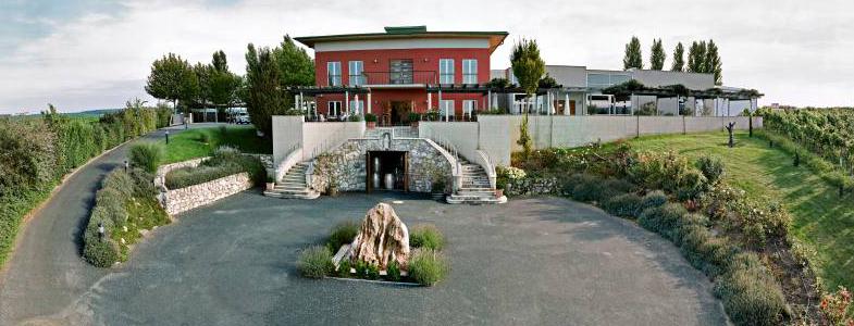 14126_banner-kirnbauer