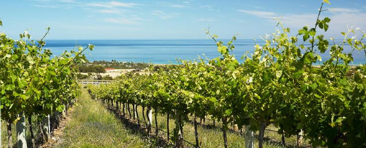 10472_Rosemount-Banner