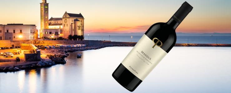 17534_Pietra-Pura-Hersteller-Banner