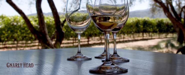 17029_Gnarly-Head-Hersteller-Banner