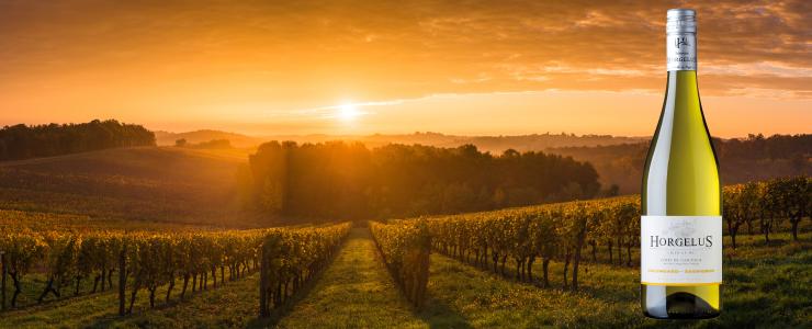 16980_Horgelus-Hersteller-Banner