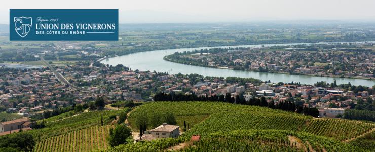 18166_Union-de-vignerons-Hersteller-Banner