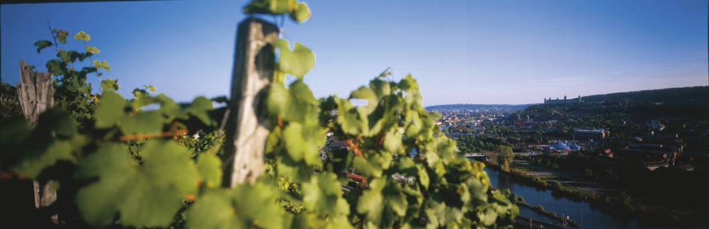 10033_Stein_Wuerzburg.org