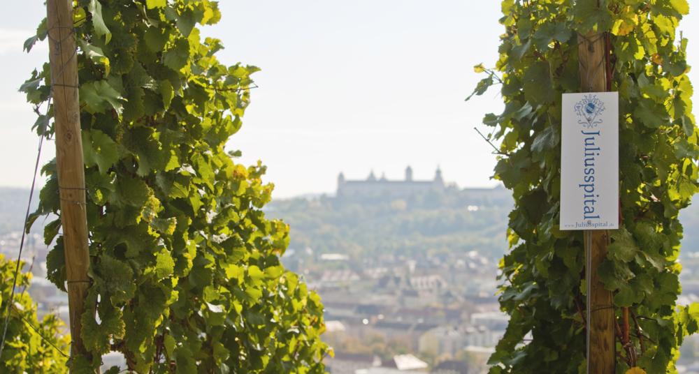 10036_Stadtblick_vom_WueStein.org