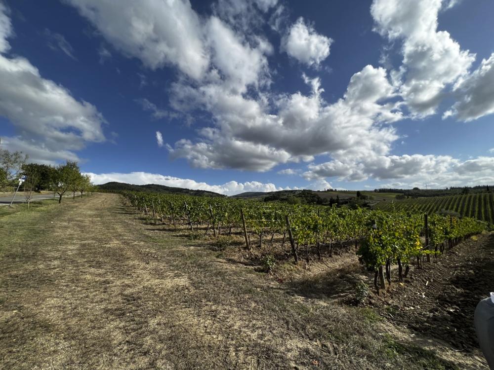 9035_1C56F73A_C42E_46D3_B45C_7CB0C6E6AACA.org