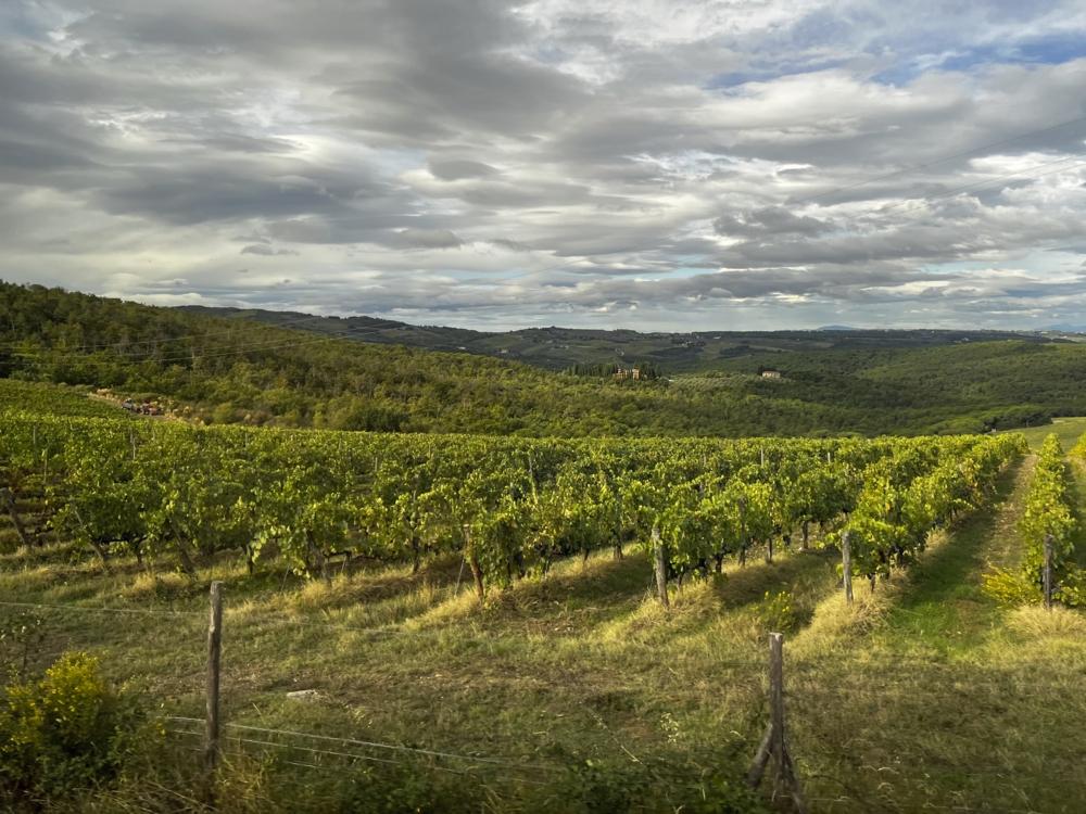 9041_C0D7BBBF_01EB_4871_A7D4_BE66A3FCDA07.org