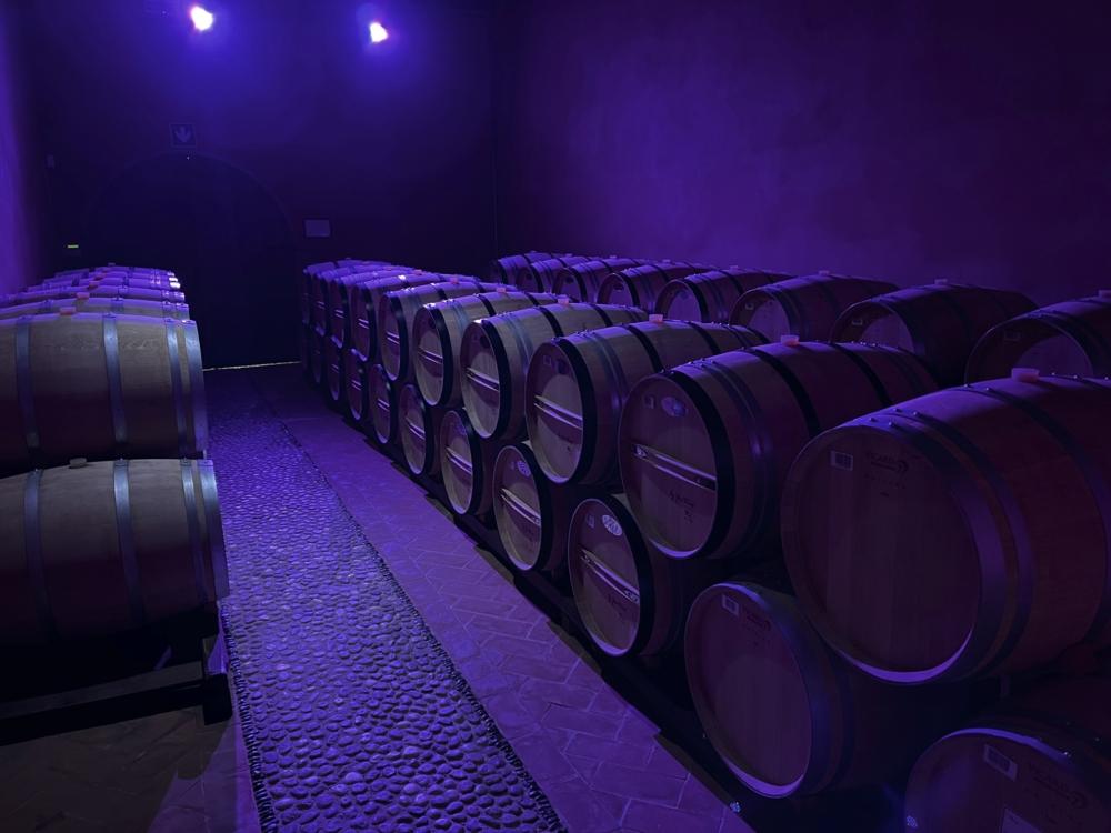 9044_F8D1E78B_1BDA_4D4C_8AA0_5B8E6B0649F4.org