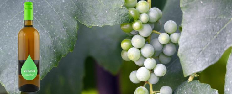 17050_Hauserwein-Hersteller-Banner