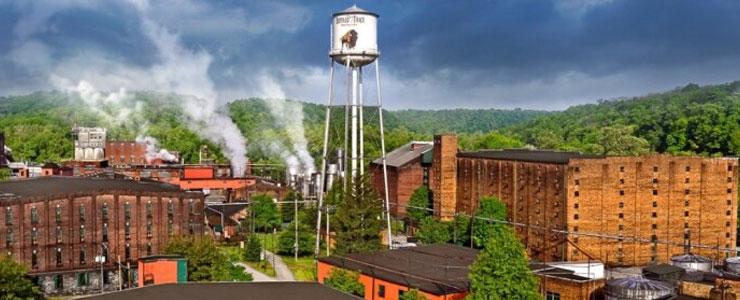 10213_Buffalo-Banner