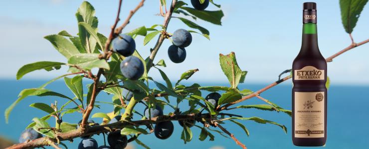 16954_La-Navarra-Hersteller-Banner