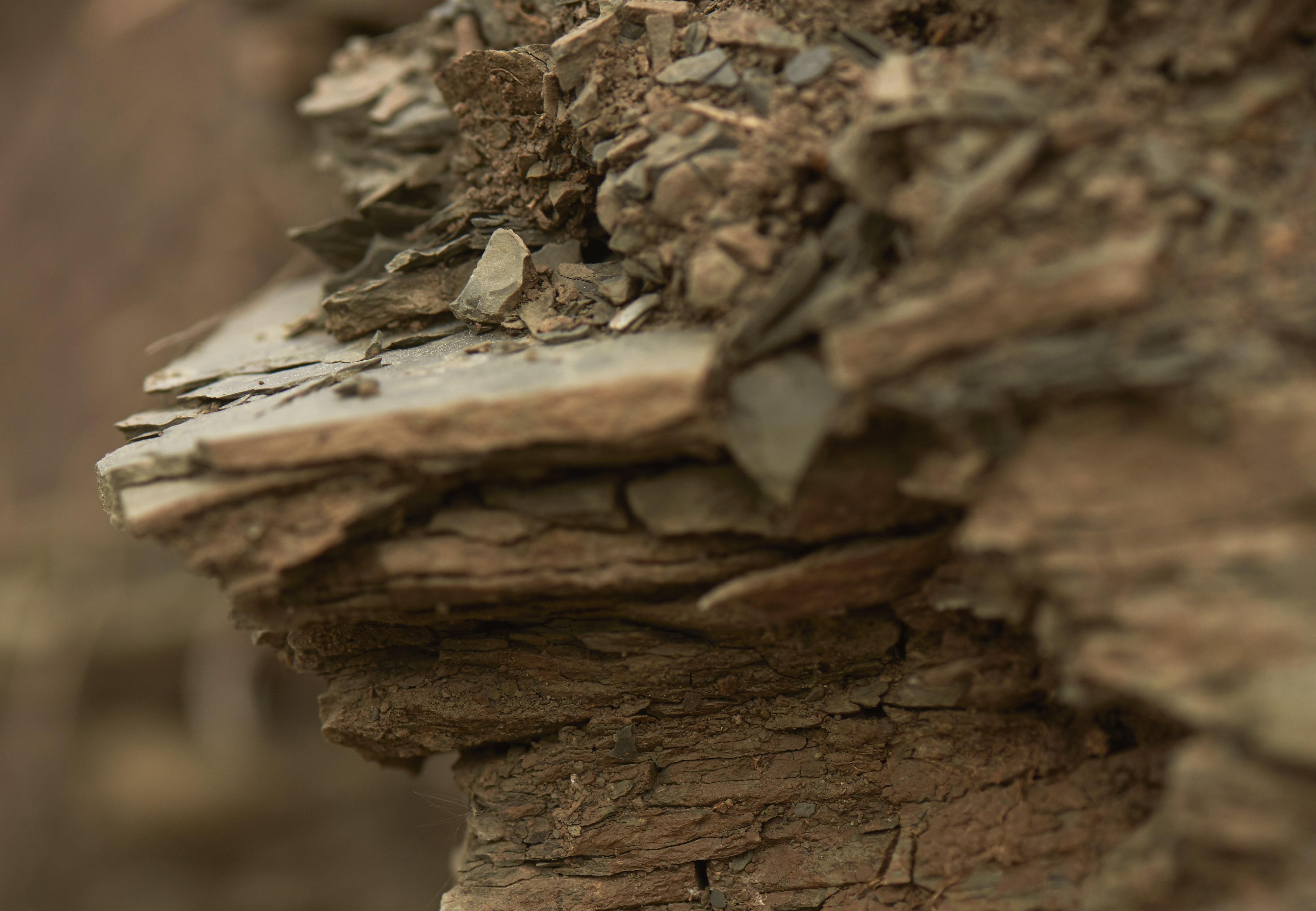 12584_DC-Gestein-Gipskeuper-04-Zuschnitt-Fotograf-Hardy-Mueller