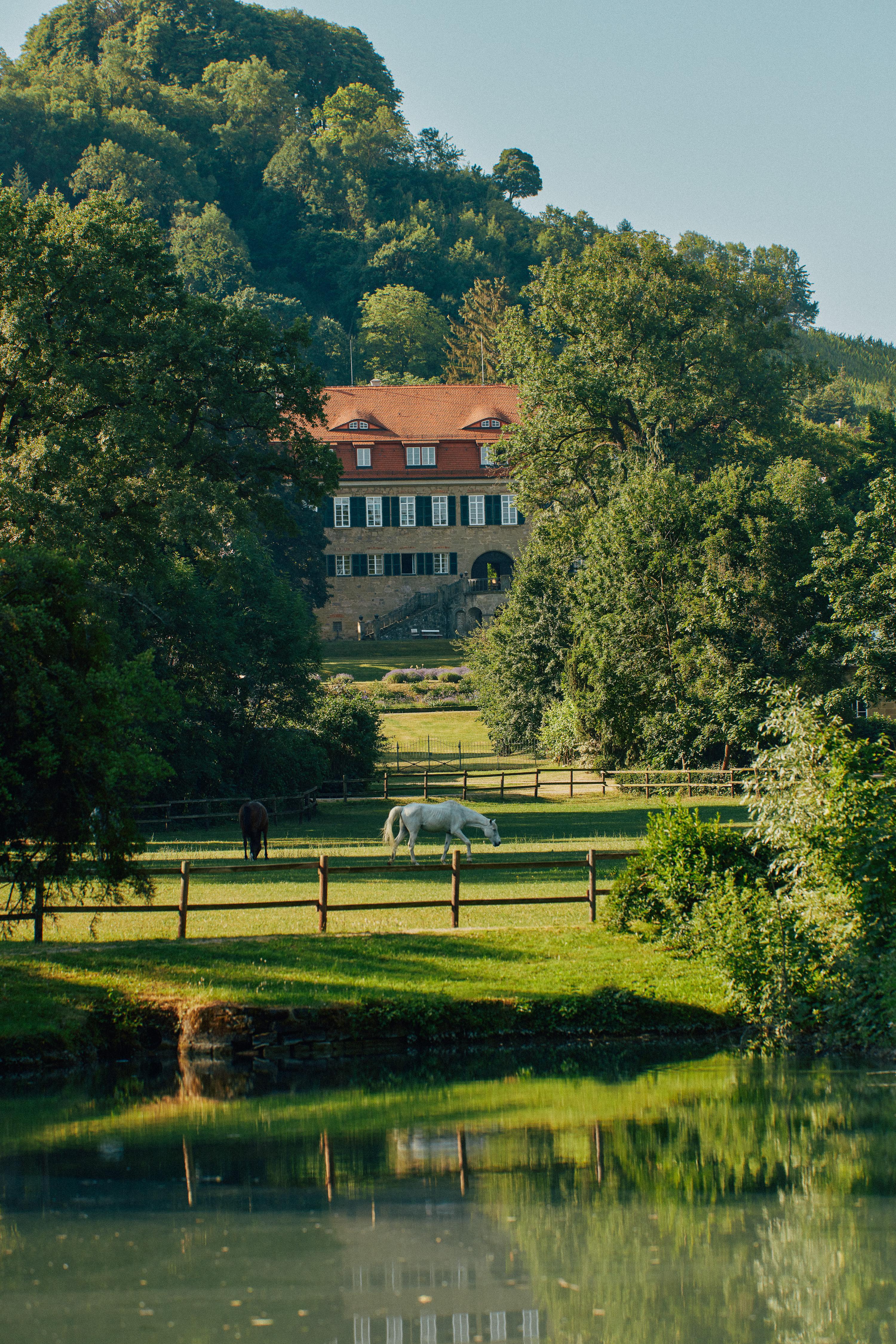 12591_VDP-Franken-2022-C-peterbender-1498