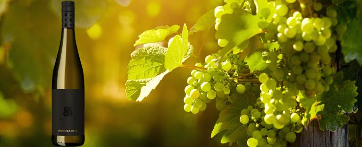 17663_Groh-Hersteller-Banner